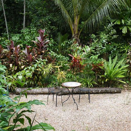 Epiphyte B & B Cow Bay Luaran gambar