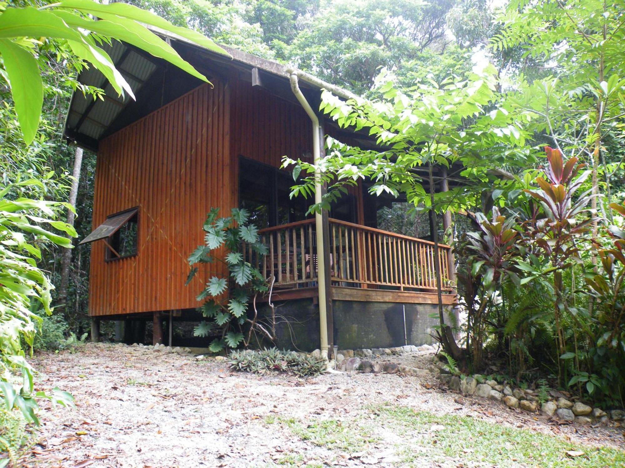 Epiphyte B & B Cow Bay Luaran gambar