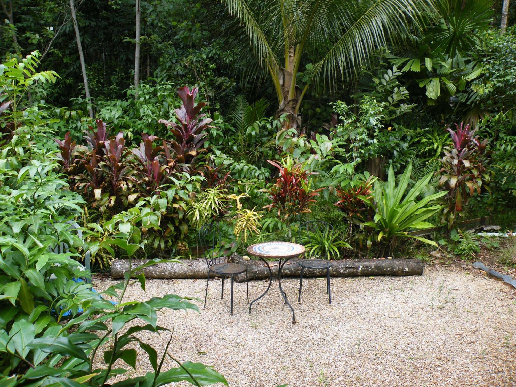 Epiphyte B & B Cow Bay Luaran gambar
