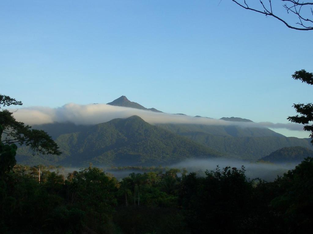 Epiphyte B & B Cow Bay Luaran gambar