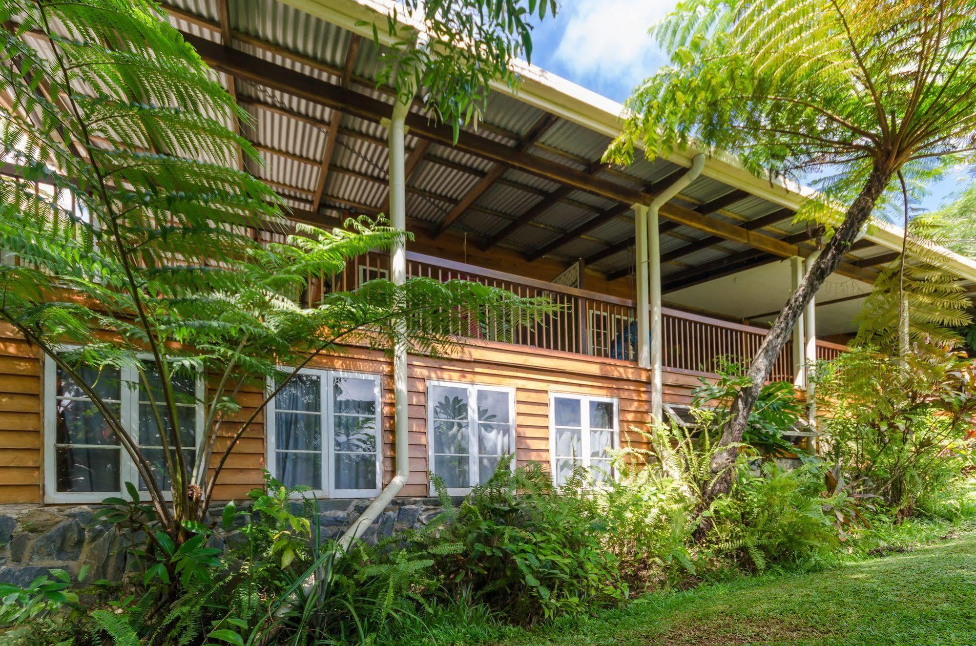 Epiphyte B & B Cow Bay Luaran gambar