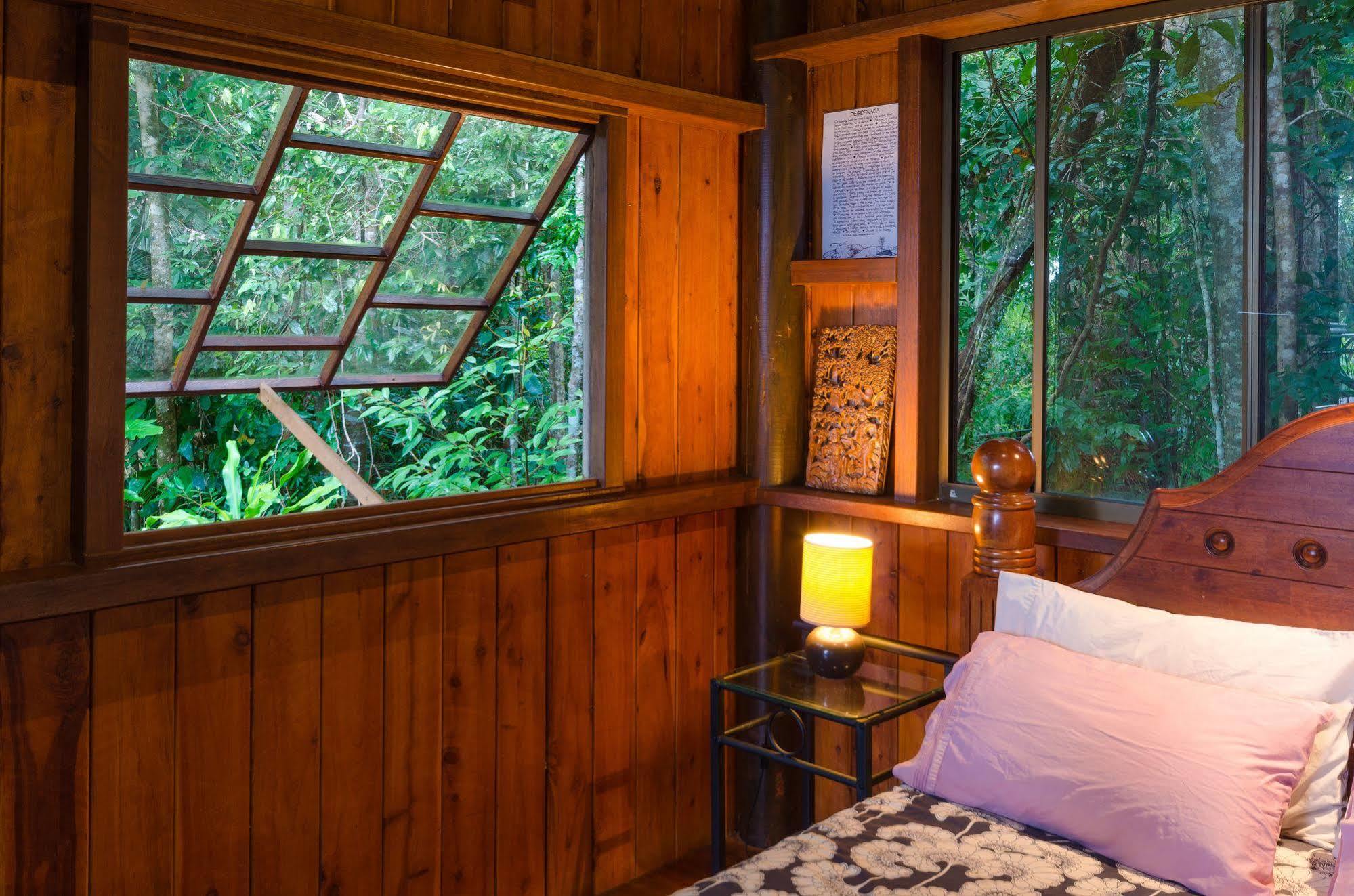 Epiphyte B & B Cow Bay Luaran gambar