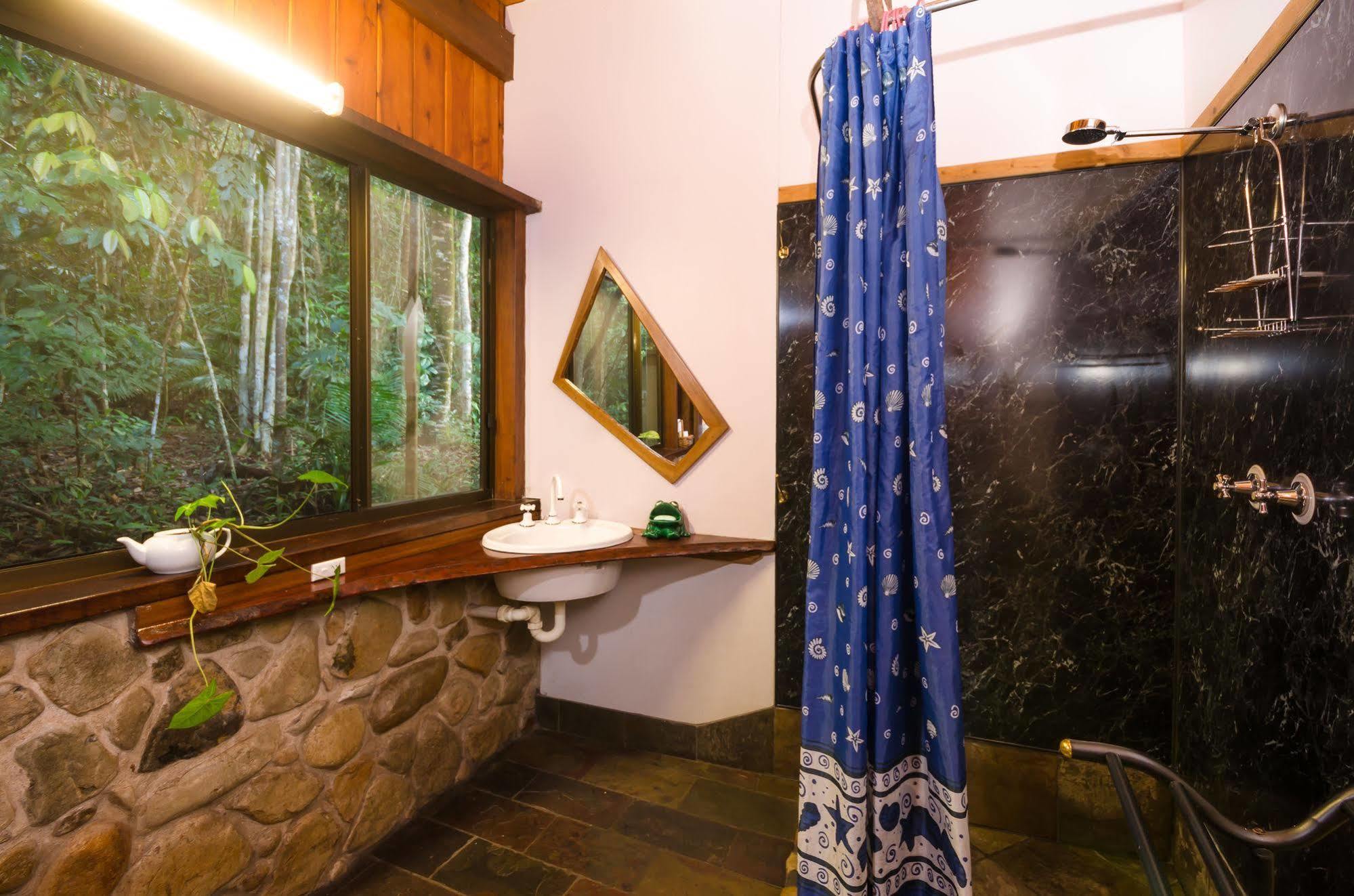 Epiphyte B & B Cow Bay Luaran gambar