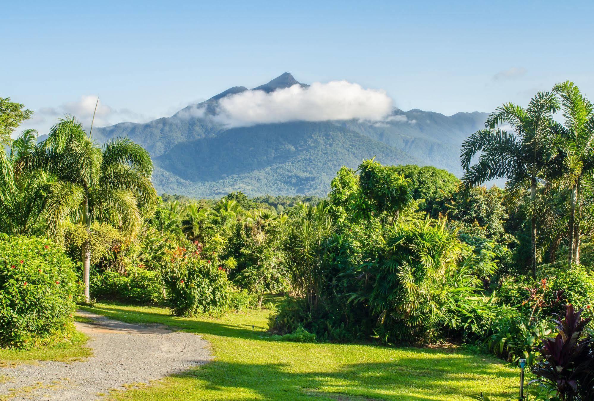 Epiphyte B & B Cow Bay Luaran gambar