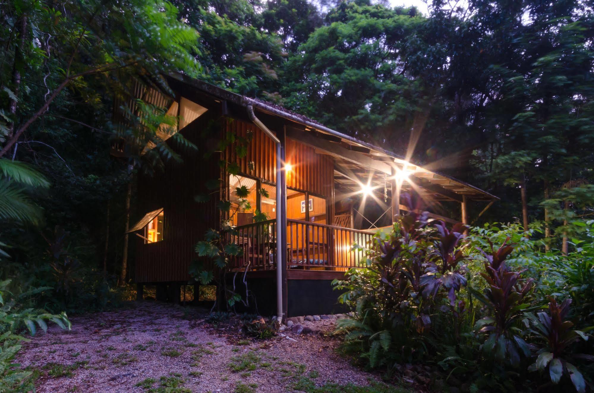 Epiphyte B & B Cow Bay Luaran gambar