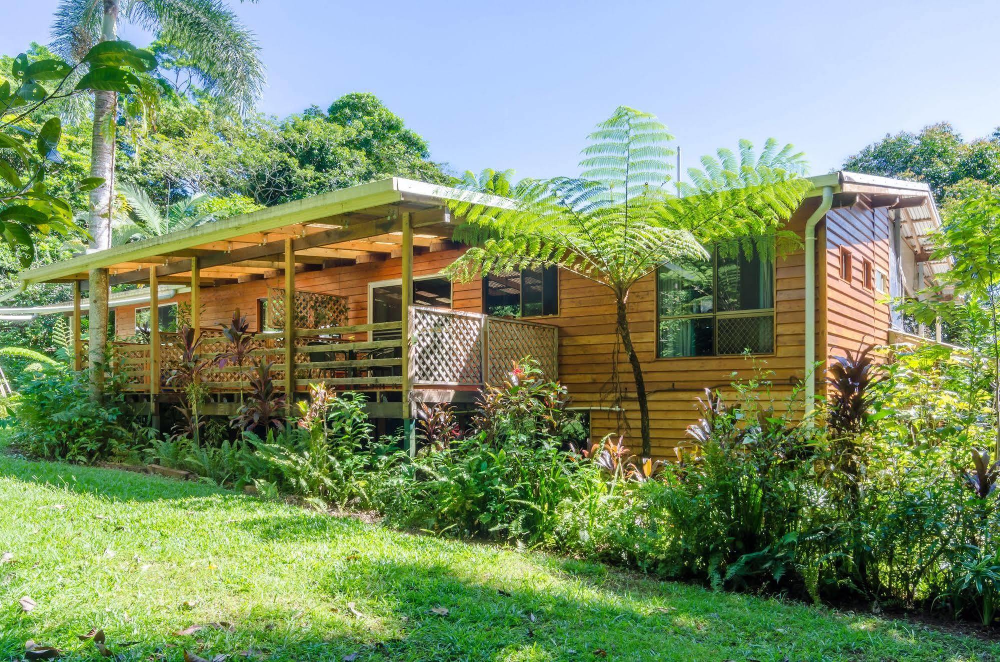 Epiphyte B & B Cow Bay Luaran gambar