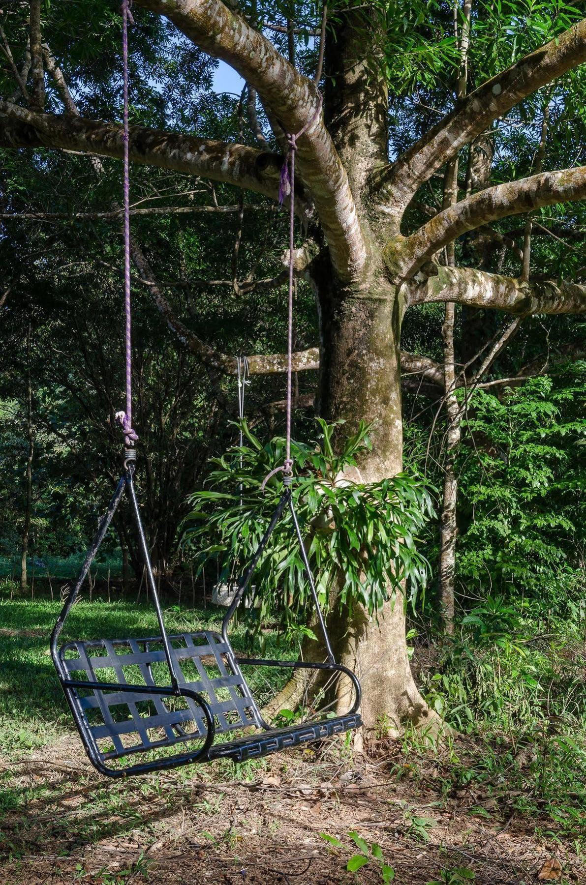 Epiphyte B & B Cow Bay Luaran gambar
