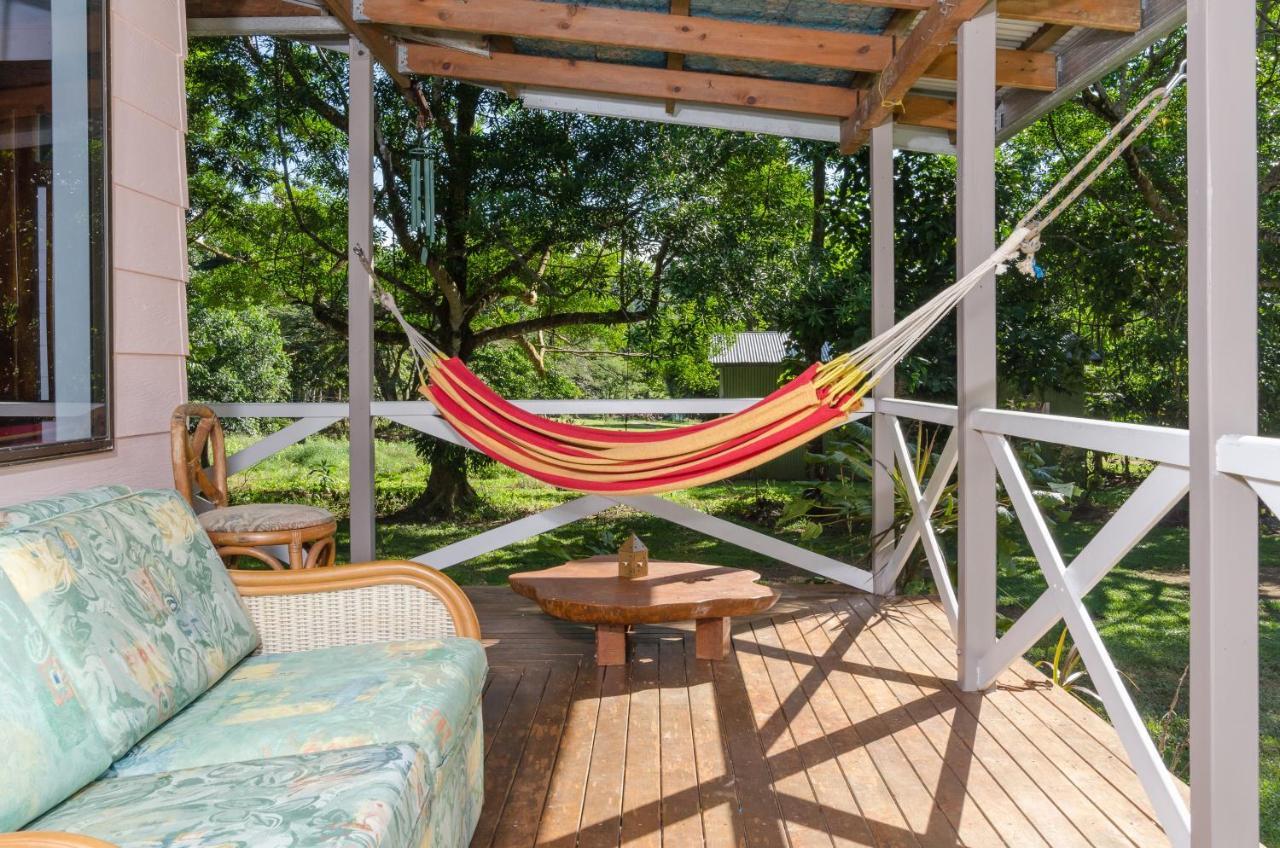 Epiphyte B & B Cow Bay Luaran gambar
