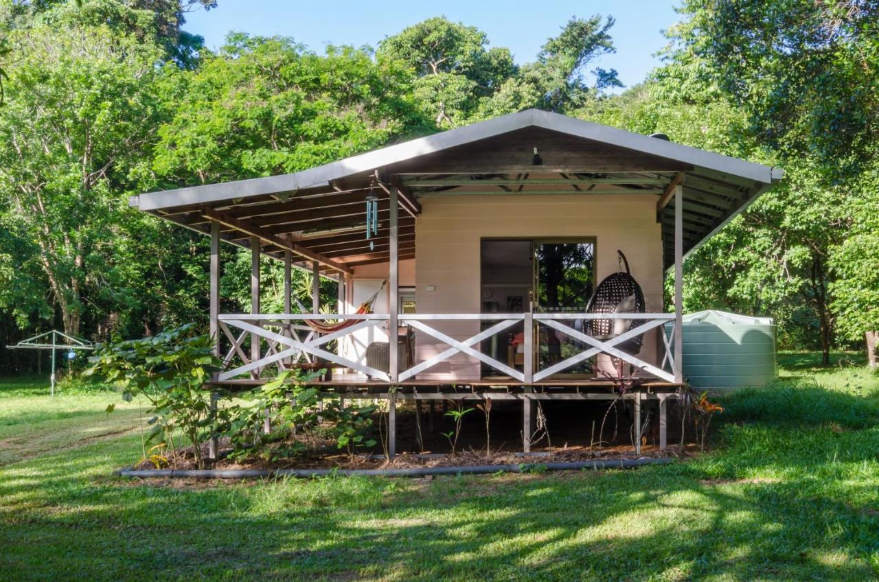 Epiphyte B & B Cow Bay Luaran gambar